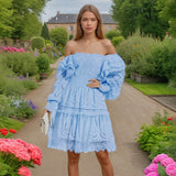 Fashion Dress Women 2025 Spring New Niche Embroidery High-End Feeling Waist Thin Bra Skirt Tide